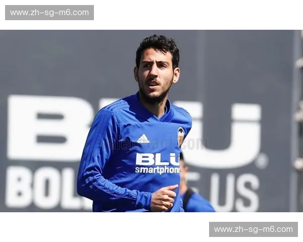 焦点之战：安纳西与波尔多，一场足球与葡萄酒的巅峰对决